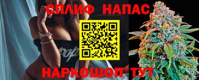 сатива Кунгур